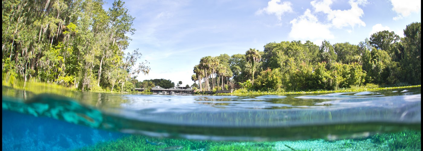 Summercrest is near Ocala's Silver Springs Park